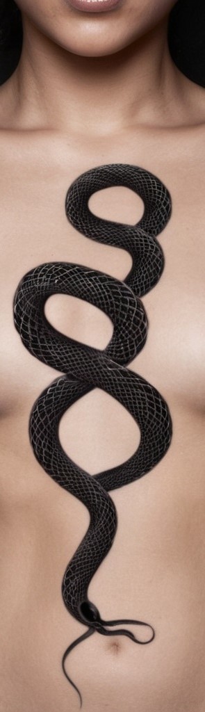 11. Black Snake Forming a Figure Eight on the Sternum